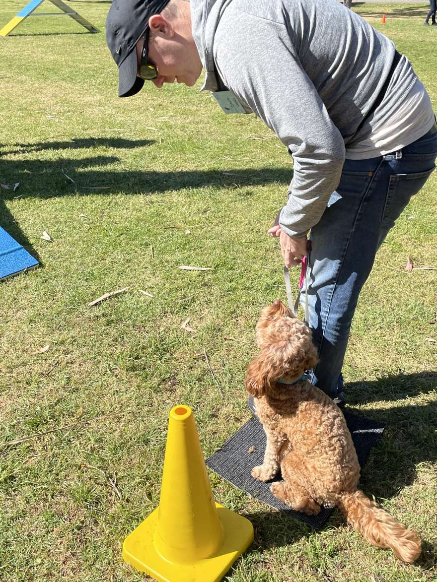 David training his dog Cookie on the grass at Hobsons Bay Obedience Dog Club